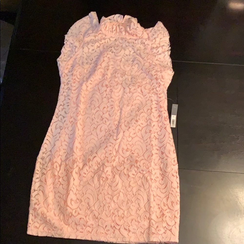 NWT THE LIMITED Lace Sheath Dress (Blush)